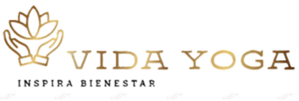 vidayoga